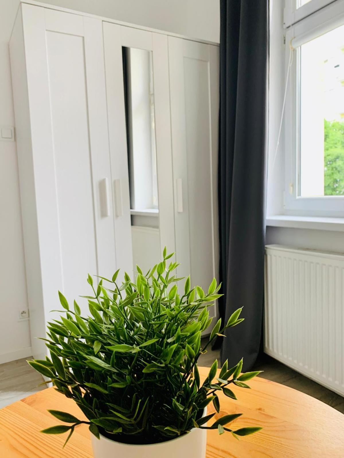 Apartament Fraszka U Kochanowskiego Ac Progres Stary Toruń Esterno foto